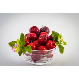 VITARAGNA Prebio-C 3,6 Vitamin C Pulver 216 g