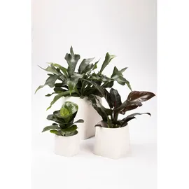 Markslöjd Übertopf 20 x 20 x 22 cm Weiß