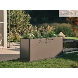 Biohort Belvedere Midi L100 102 x 102 x 61 cm dunkelgrau-metallic