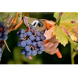 Stocker Gartenschere Löwe 8