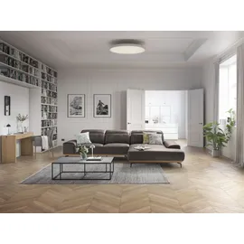 Musterring Wohnlandschaft MUSTERRING "MR 2490 Ecksofa mit erstklassigem Sitzkomfort, Long-Life-Leder", grau (light grau, b), B:342cm T:207cm, Sofas, Wohnlandschaft, Bronze-Fuß, Sitzhöhe 48cm, wahlweise mit Funktionen, Maße 342 x 207 cm