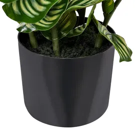 Beliani Kunstpflanze ORBIFOLIA 50 cm Grün