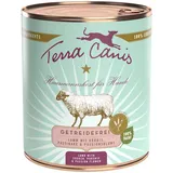 Terra Canis Lamm mit Kürbis, Pastinake & Passionsblume 6 x 800 g