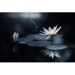 Fototapete PAPERMOON "Photo-Art TAKASHI SUZUKI, BETRACHTUNG", bunt, B:3,00m L:2,23m, Vlies, Tapeten