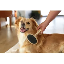 Kerbl MagicBrush Softzupfbürste für den Hund - golden/Sandstorm - golden/Sandstorm