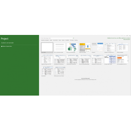 Microsoft Project Professional 2019 ESD DE Win