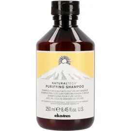Davines Naturaltech Purifying Shampoo 250 ml