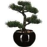 Atmosphera Créateur d'intérieur Künstlicher Bonsai-baum, in schwarz | Gr.: onesize