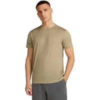 Icebreaker Merino 150 Tech Lite Kurzarm-t-shirt - Flagstone - L