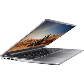 Medion S17413, Notebook, mit 17,3 Zoll Display, Intel® CoreTM 5,i5-1235U Prozessor, 16 GB RAM, 1 TB SSD, Iris® Xe, Silber, Windows 11 Home (64 Bit)