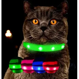petsation Leuchtendes Katzenhalsband grün
