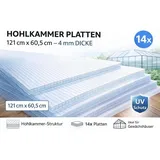 Doppelstegplatte 14x Gewächshausplatte Hohlkammerplatte Polycarbonat Stegplatte - Transparent