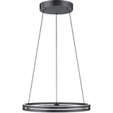 neuhaus pure® by paul neuhaus E-Loop 2xLED-Board/22W 70 cm rund grau