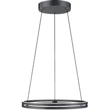 neuhaus pure® by paul neuhaus E-Loop 2xLED-Board/22W 70 cm rund grau