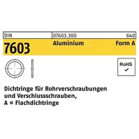Hörger & Geßler Flachdichtring DIN 7603 33 x 39 x 2 100 Stück