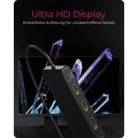 Icy Box (USB-C, Dockingstation - USB Hub, Schwarz