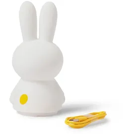 Mr Maria Miffy Shines