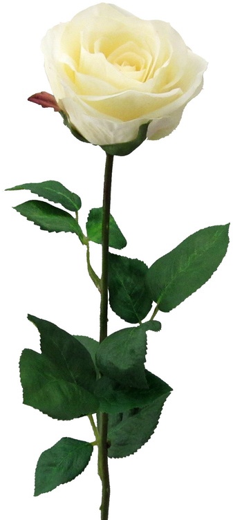 Künstliche Gartenrose, Langstiel Mit 6 Blüten, 69 Cm (Farbe: Creme)