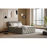 Cotta Boxspringbett COTTA "Tower inkl. Bettkasten, mit Keder in abgesetzter Farbe", dunkelgrau, keder: charcoal, B:181cm L:228cm, 100% POLYESTER (PES), Komplettbetten, Boxspringbett, in verschiedenen Breiten, Härtegraden und Farben erhältlich