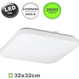 Rabalux - LED-Deckenleuchte 1xLED/32W/230V