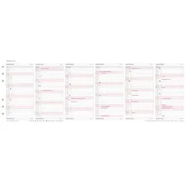 Chronoplan Kalendereinlage 2026 Jahresplan Midi (9,6 x 17,2 cm)
