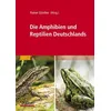 Die Amphibien und Reptilien Deutschlands