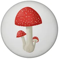 Speecheese Viel Glück Magnet rund mit Fliegenpilz schöner Magnet