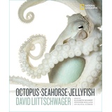 Random House LLC US Octopus, Seahorse, Jellyfish