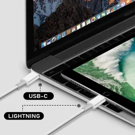 Apple USB-C auf Lightning Kabel