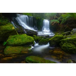 Fototapete PAPERMOON "Photo-Art JASON STEPHENS, HALLO HORSESHOE", bunt, B:3,50m L:2,60m, Vlies, Tapeten