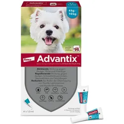 Advantix 100 Hund 4 St