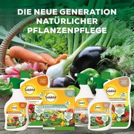Solabiol Lecithin Rosen-Spray 1 l
