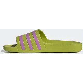 Preloved Lime / Preloved Purple / Preloved Lime 37