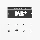 Jung RAD A 518 WW
