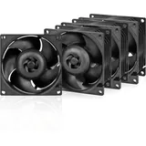 Arctic S8038-10K (4 Pack)