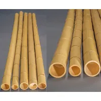 4er Set Bambusrohr "Moso" gelb, gebleicht, Durch. 9- 10cm, Länge 300cm (BAYS3009