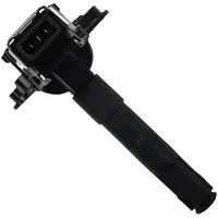 BorgWarner (Beru) (BERU) Zündspule