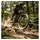RockShox Lyrik Ultimate Charger 3.1 27,5 Zoll 150 mm 2023 Schwarz