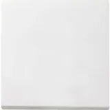 Gira 029627 Wippe AUS/WECHSEL REINWEISS