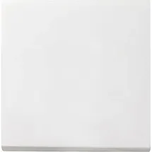 Gira 029627 Wippe AUS/WECHSEL REINWEISS