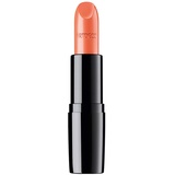 ARTDECO Perfect Color 860 deamy orange