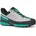 gray-tropical green