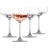 Schott Zwiesel Echo Cocktailschale 0,277 l 4 St.