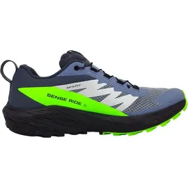 Salomon Sense Ride Herren Flint Stone/Black/Green Gecko 42