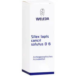 Silex Lapis Cancri solutus D 6