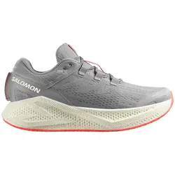 Salomon Herren Aero Glide 3 grau 47.3