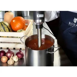Royal Catering Stabmixer Pürierstab