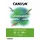 Canson Graduate Zeichenpapier 30 St. 160 g/m2 Weiß