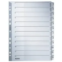Register A4 1-12 grau LEITZ 4325-00-00 Karton 12tlg.