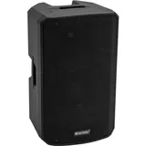 Omnitronic VFM-212 MK2 2-Wege Lautsprecher